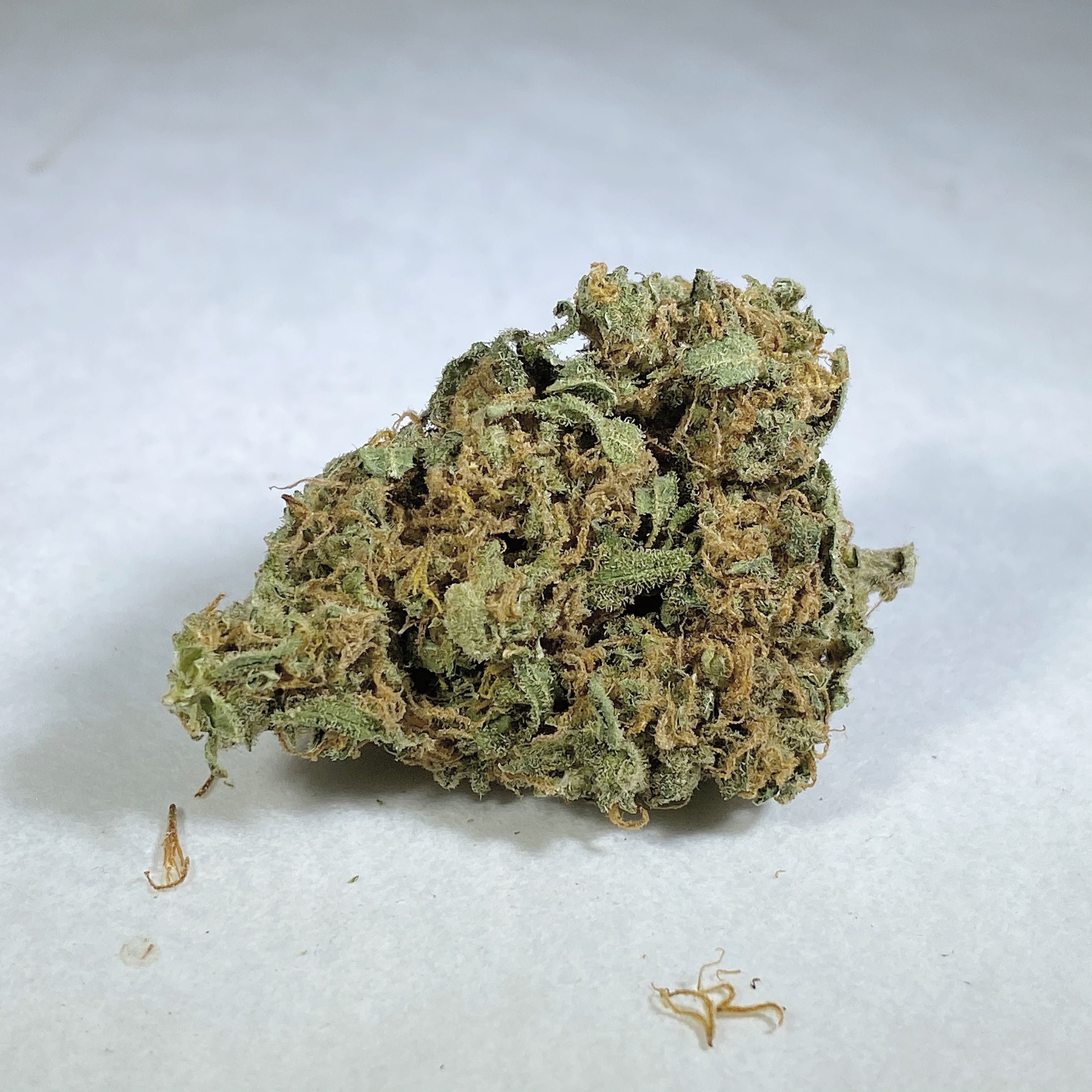 Marks Organix Candy Jack Leafly